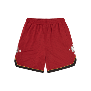 Astro Star Mesh Basketball Shorts