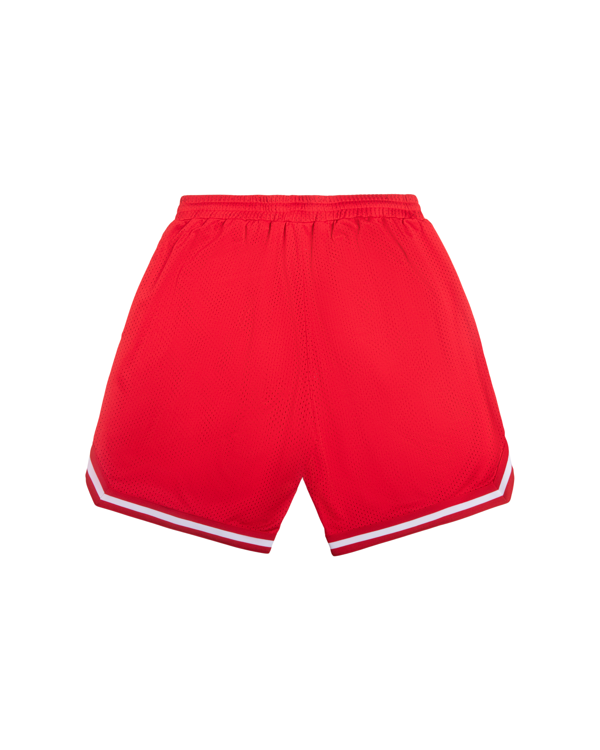 Team IC Running Dog Basketball Shorts - Image 2
