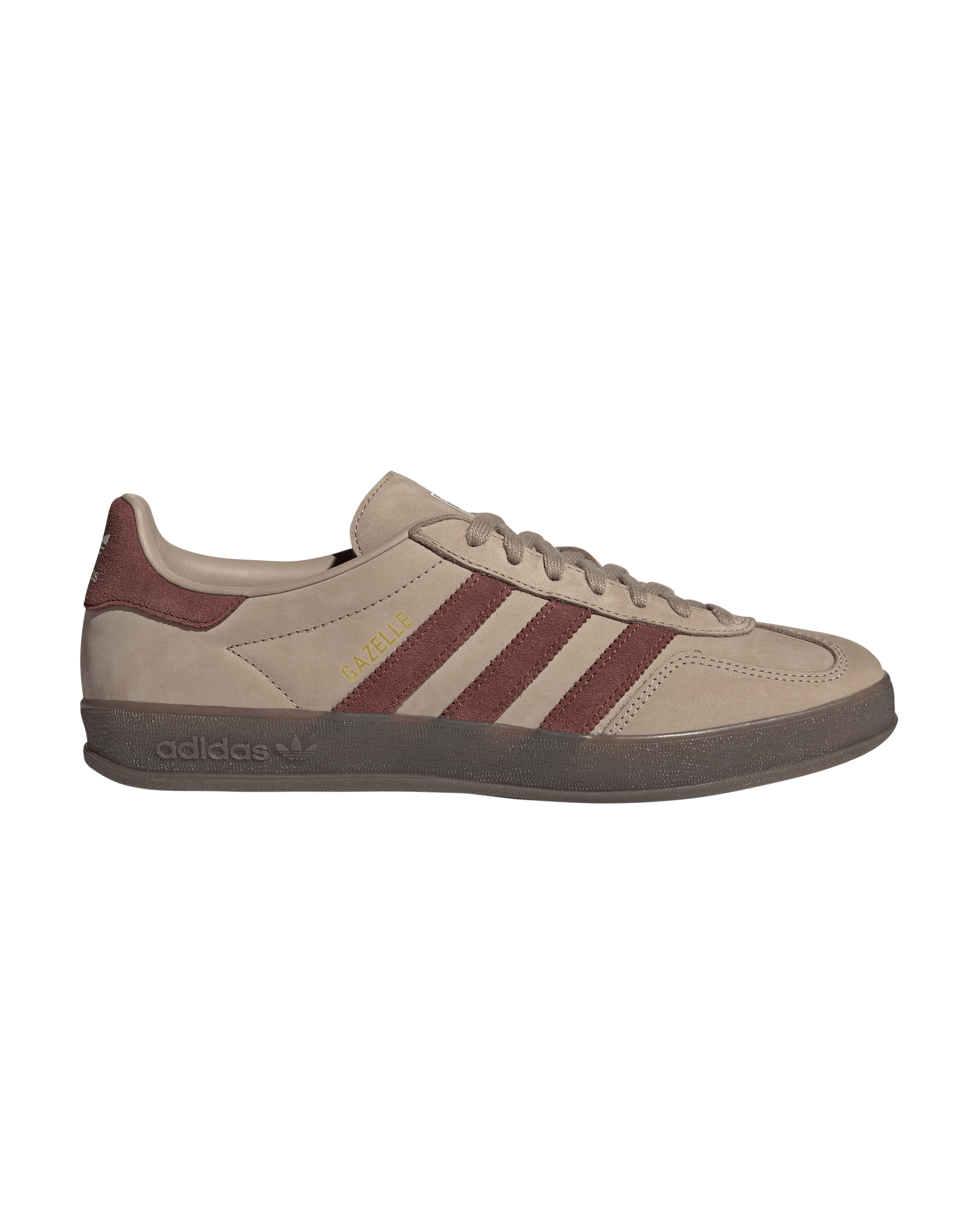 Gazelle Indoor