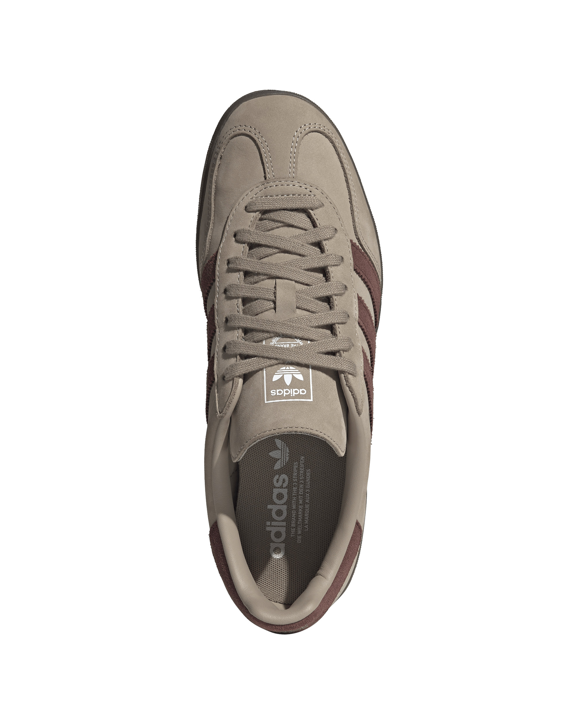 Gazelle Indoor - Image 3