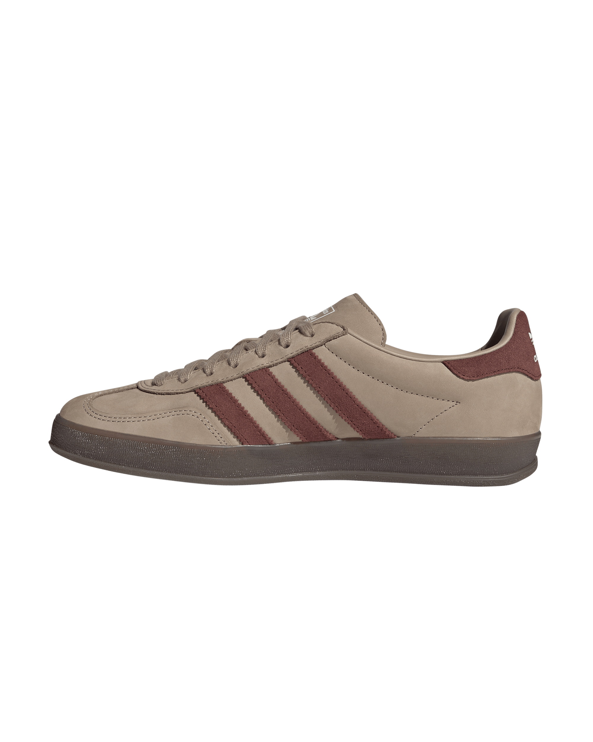 Gazelle Indoor - Image 2